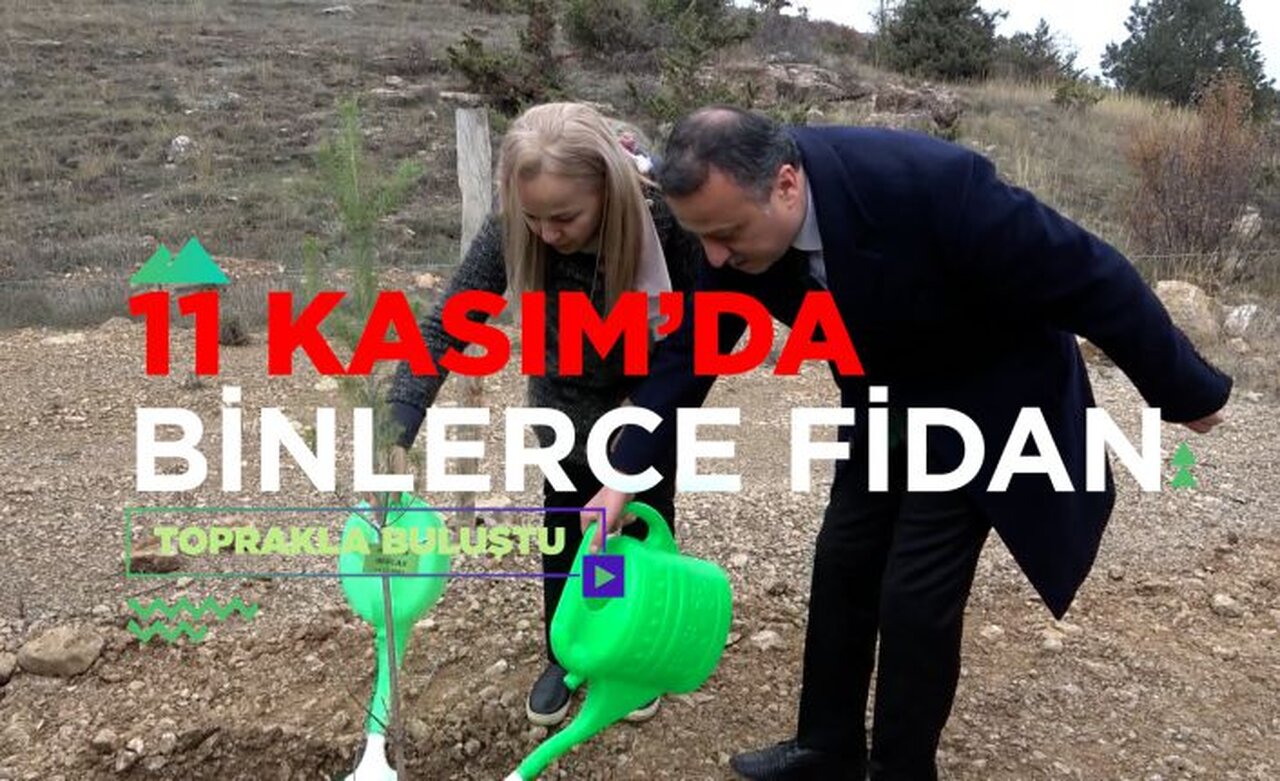 Gümüşhane’de Milli Ağaçlandırma Gününde binlerce fidan toprakla buluştu