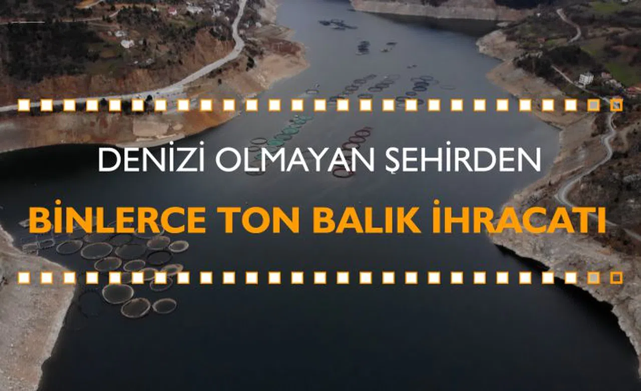Denizi olmayan şehirden binlerce ton balık ihraç ediliyor