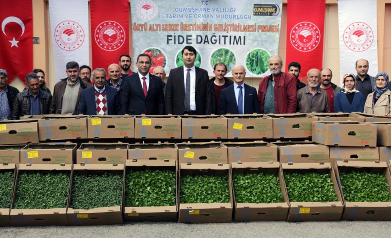 Gümüşhane’den 195 bin sebze fidesi toprakla buluşacak