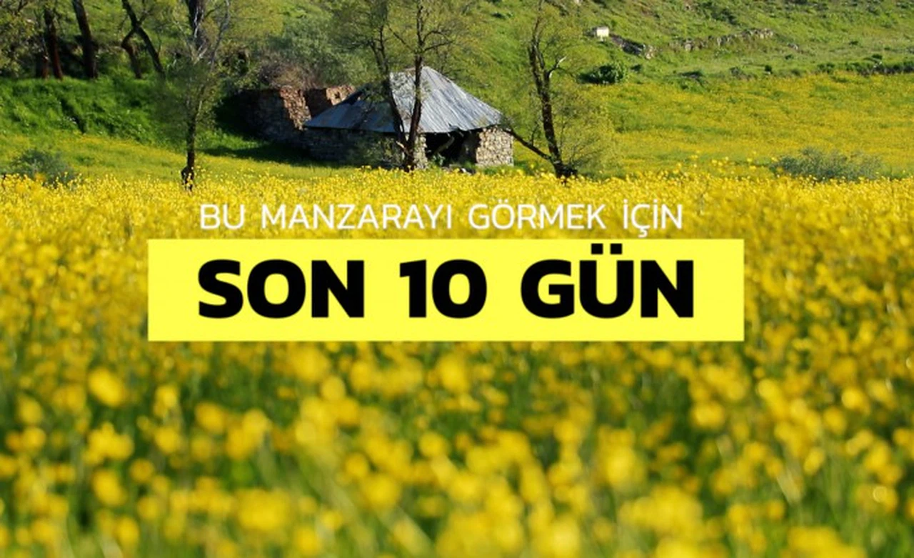 Bu manzarayı görebilmek için 10 gün kaldı