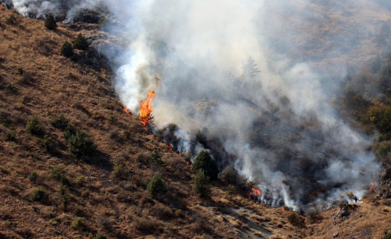 Çöpleri yakmak isterken 2 hektarlık alanı küle döndürdü
