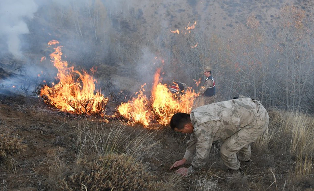 Gümüşhane'deki örtü yangınında 5 hektarlık alan zarar gördü