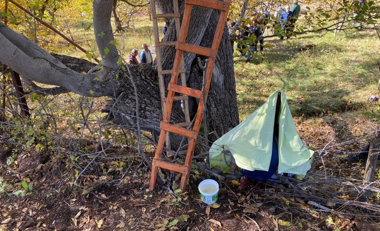 Gümüşhane’de ceviz ağacından düşen adam demire saplanarak can verdi