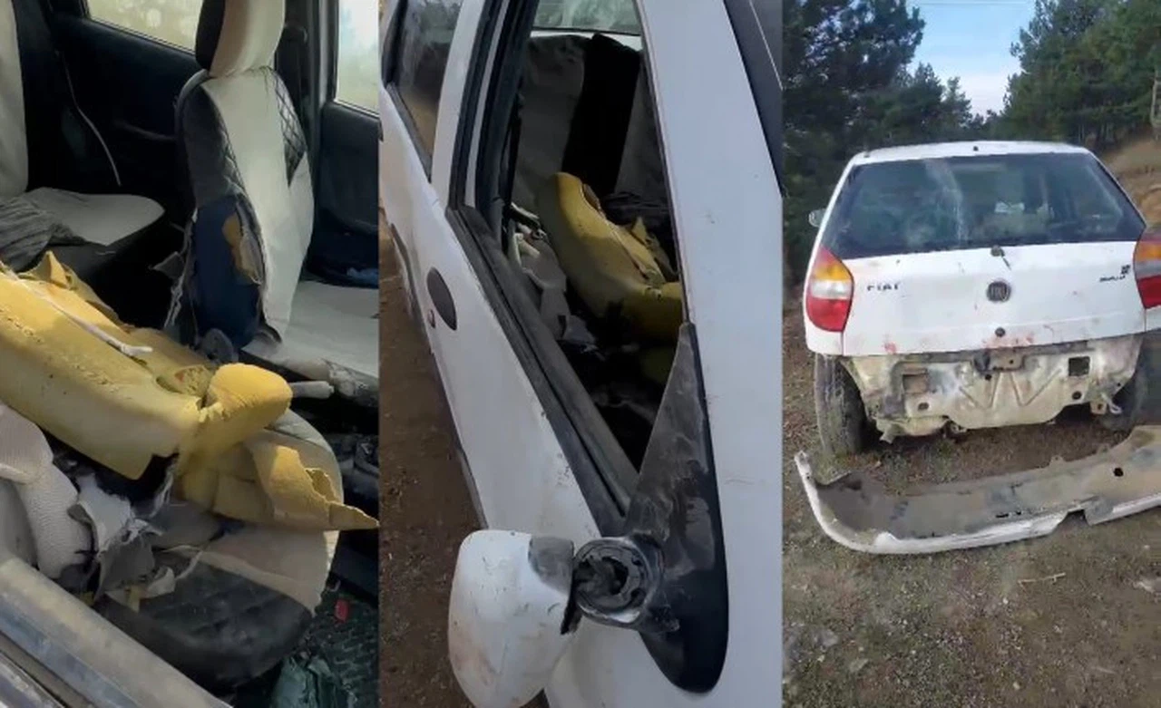 Aç kalan ayı otomobilin camını kırıp içine girdi