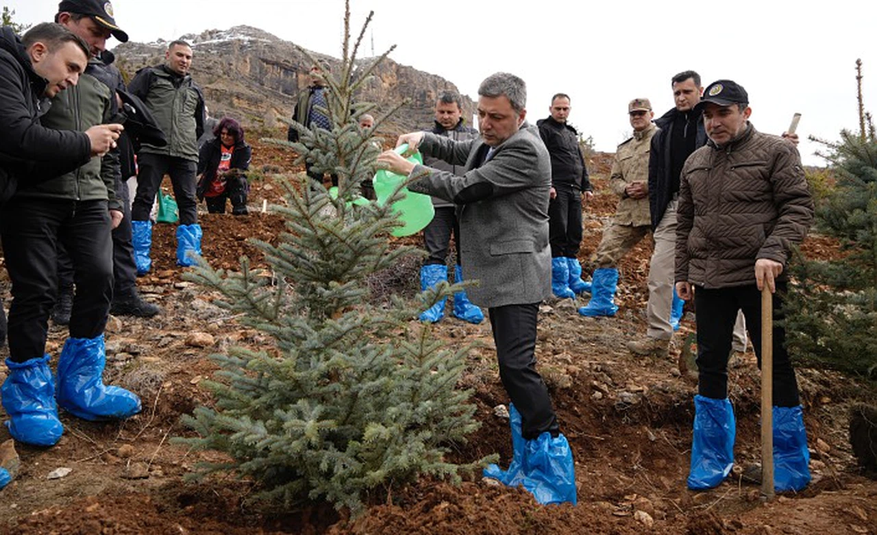 Gümüşhane’de 3 bin fidan toprakla buluştu