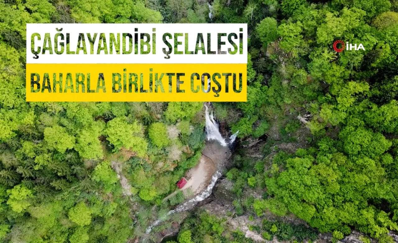 Gümüşhane'nin saklı cenneti Çağlayandibi Şelalesi baharla coştu