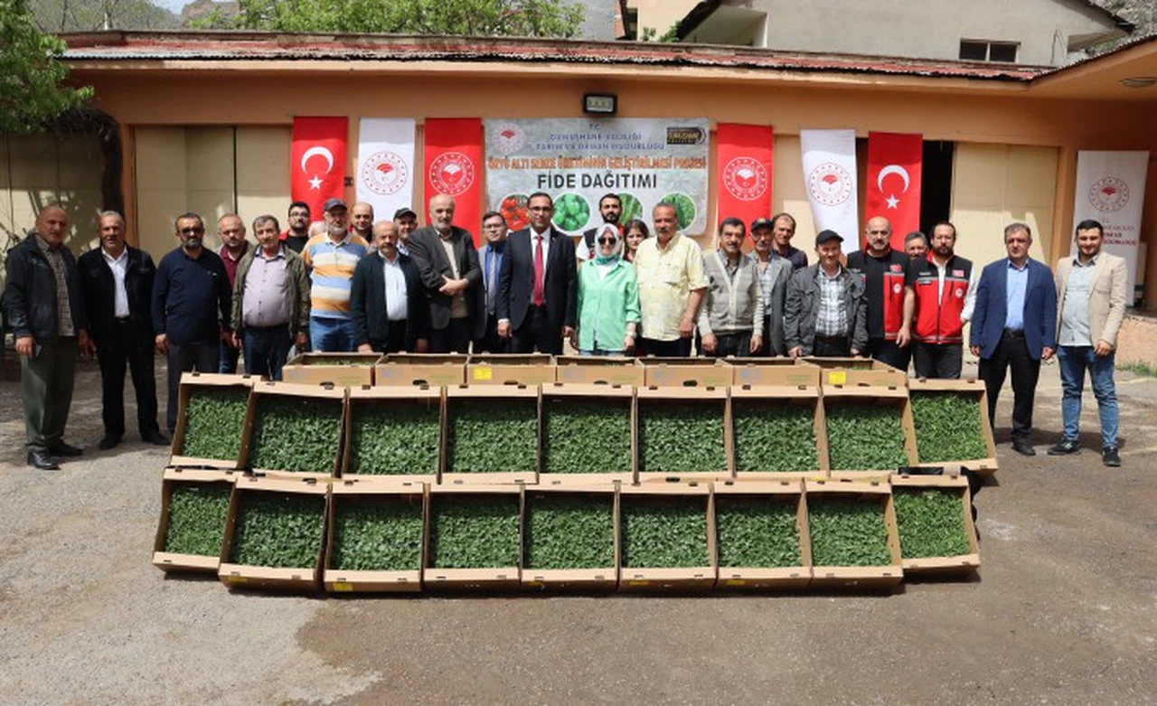 Gümüşhane’de 322 bin 398 sebze fidesi toprakla buluşacak
