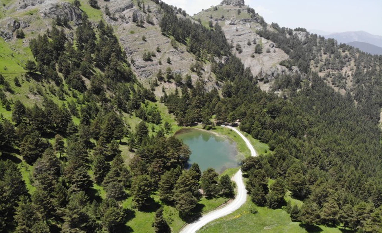 Altınpınar Limni Gölü el değmemiş doğasıyla hayran bırakıyor