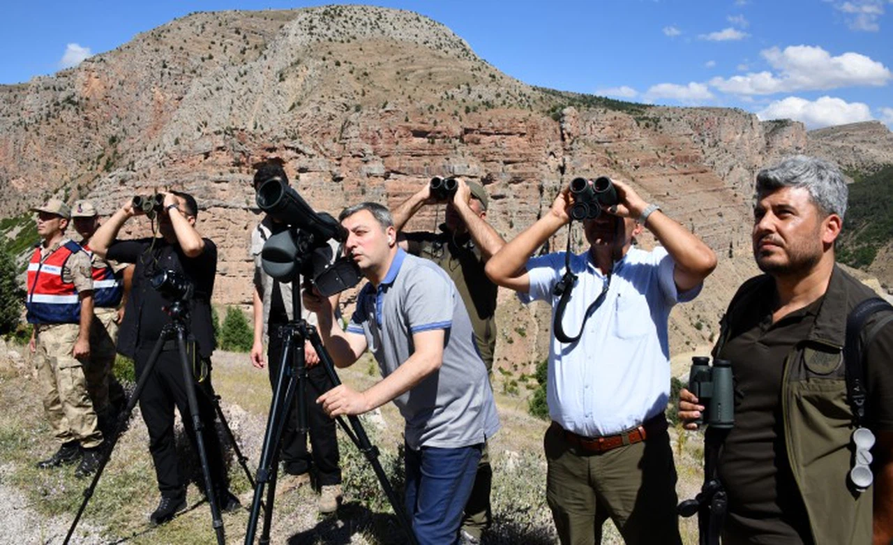 Gümüşhane’nin yaban keçileri Vali Tanrısever’in karşısına çıktı
