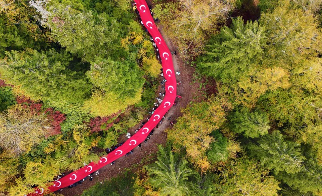 Örümcek Ormanlarında "Ormanlar İçin El Ele" etkinliği yapıldı