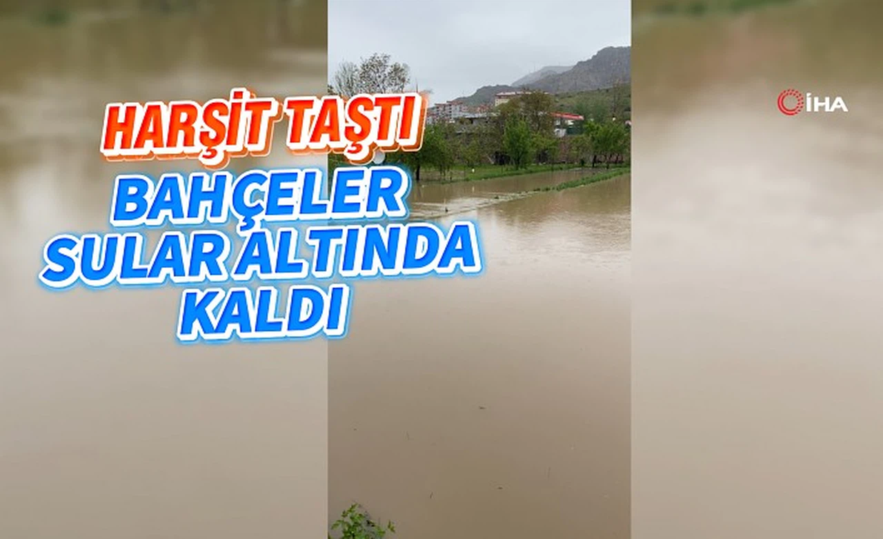 Dere Islahı Bahçeleri Vurdu: Harşit Çayı Taştı, Vatandaş Mağdur Oldu
