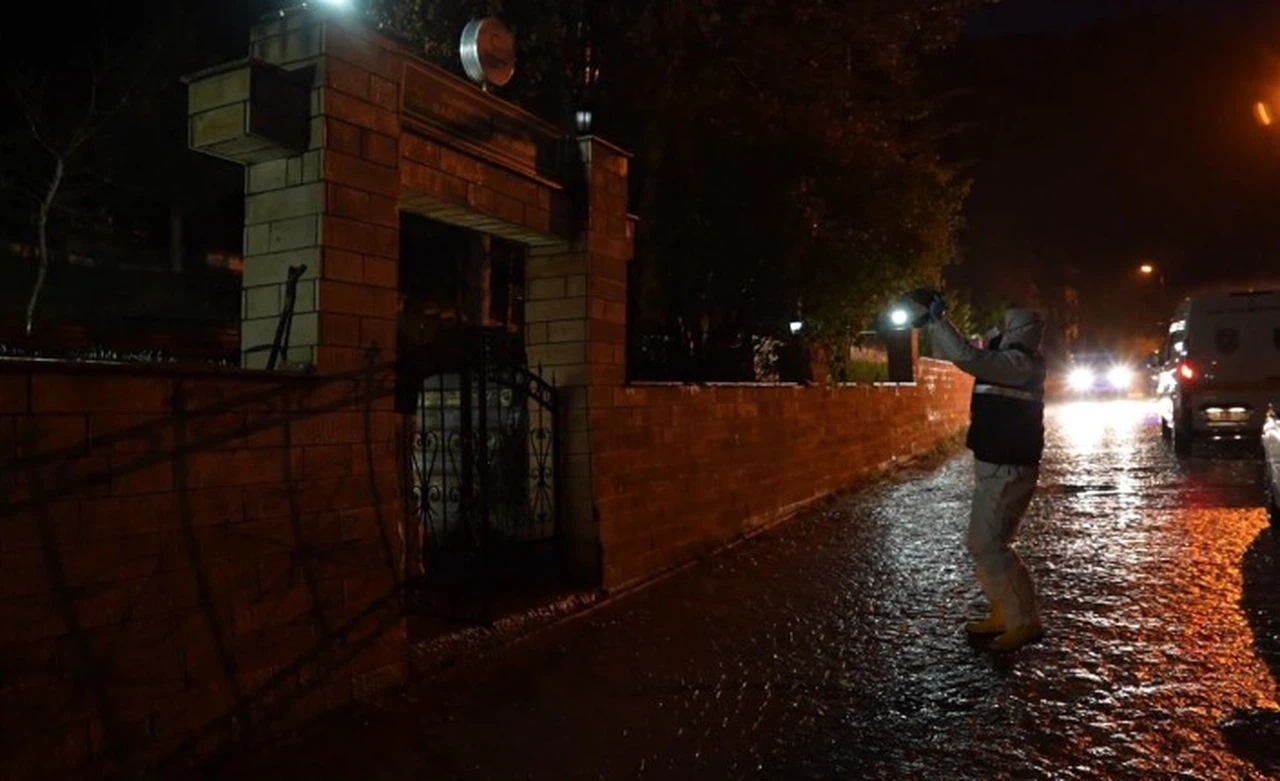 Gümüşhane'de ayılar bu kez mezarlığa dadandı