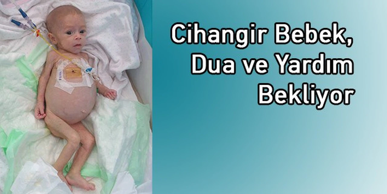 Cihangir Bebek Gibi Dünyada 23 Bebek Var