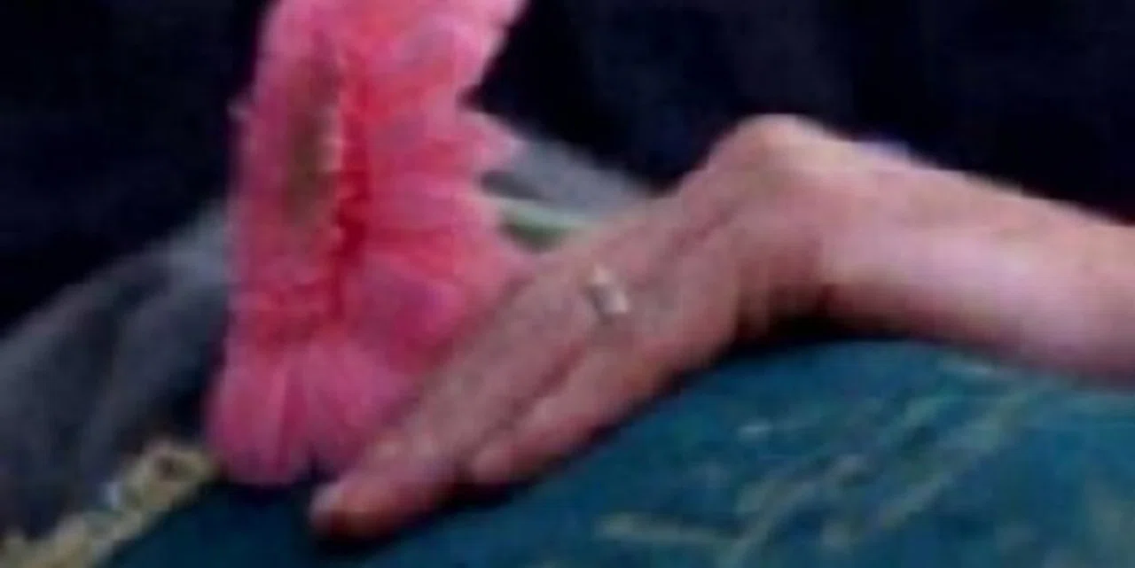 Emine CEYLAN hakkın rahmetine kavuşmuştur