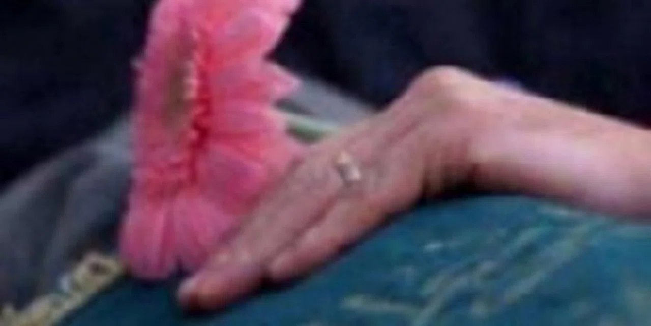 Fikriye ÜRKMEZ hakkın rahmetine kavuşmuştur