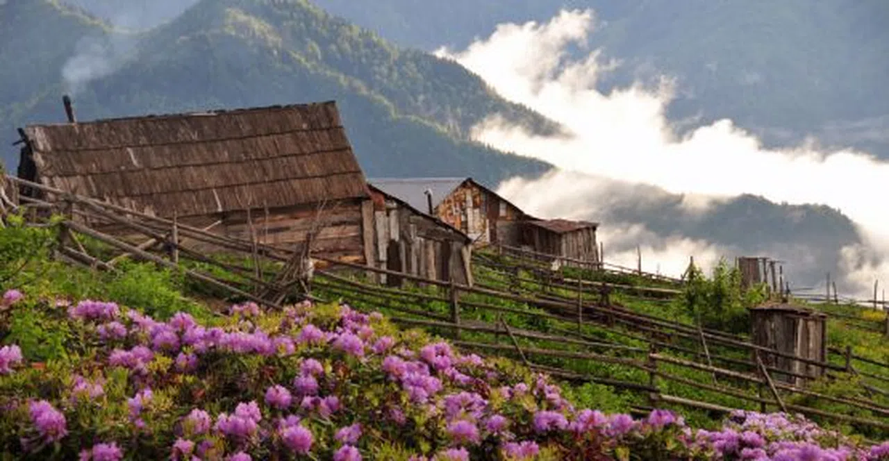 Gümüşhane'de Bu Yaz 33 Yayla Şenliği Yapılacak