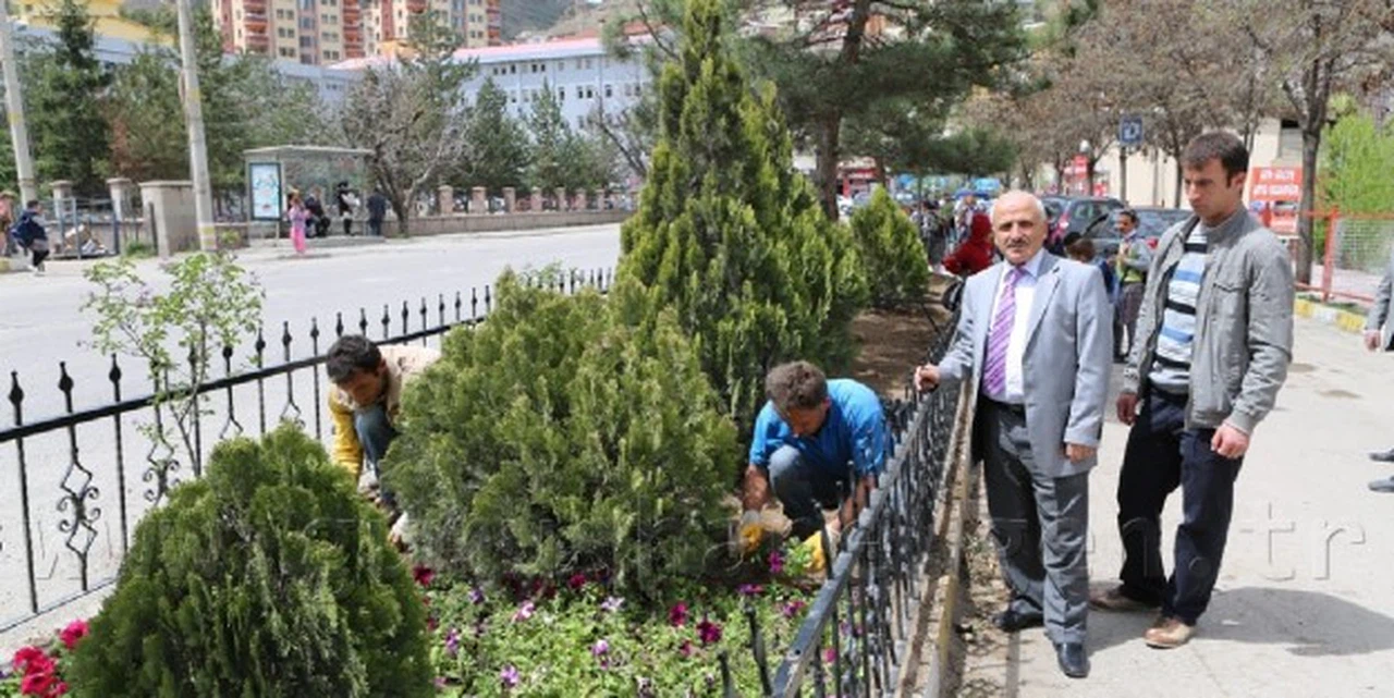 Gümüşhane'ye 50 Bin Çiçek