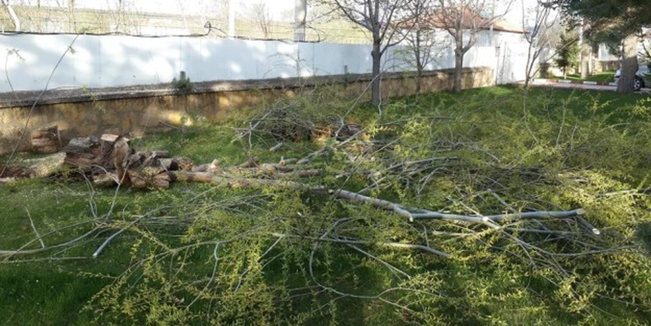 Kelkit'te Devrim Gibi Karar