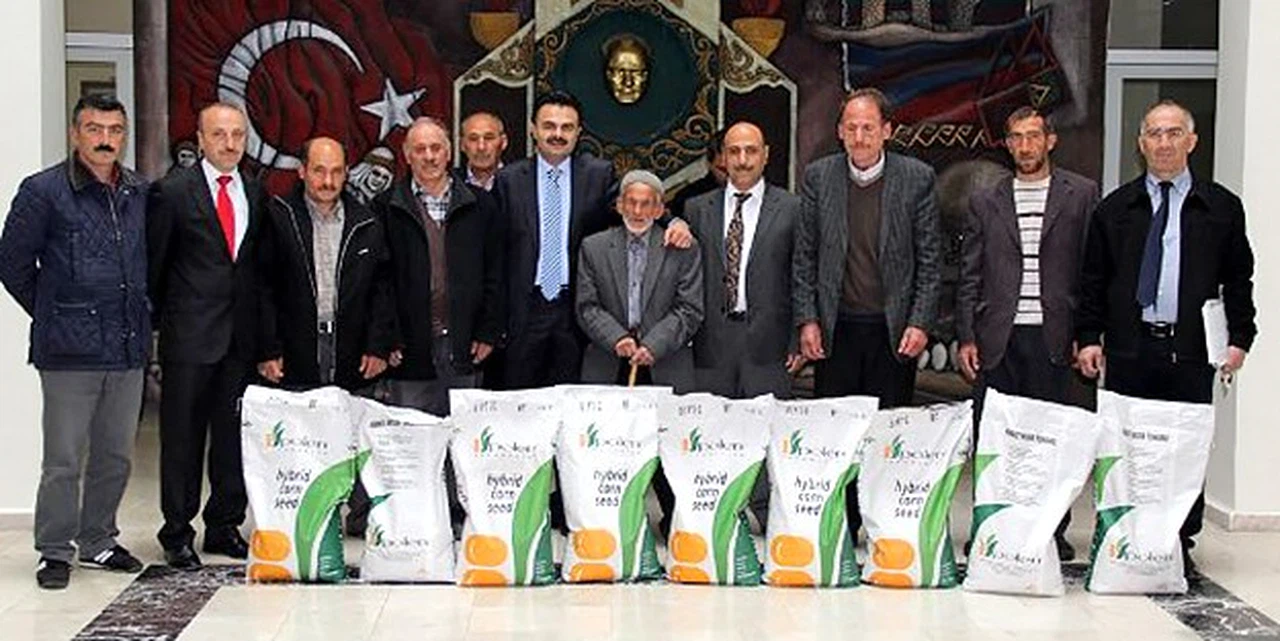Kelkit'te Üreticilere Organik Mısır Tohumu Dağıtıldı