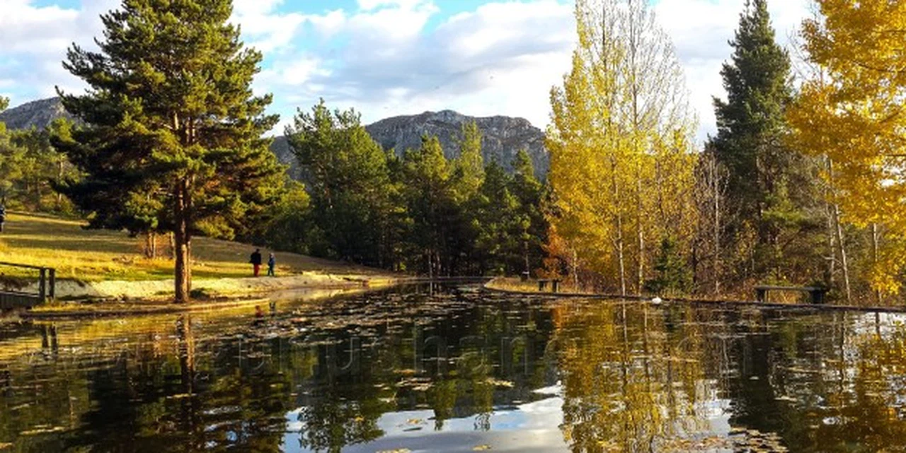 Kent Ormanından Sonbahar Manzaraları