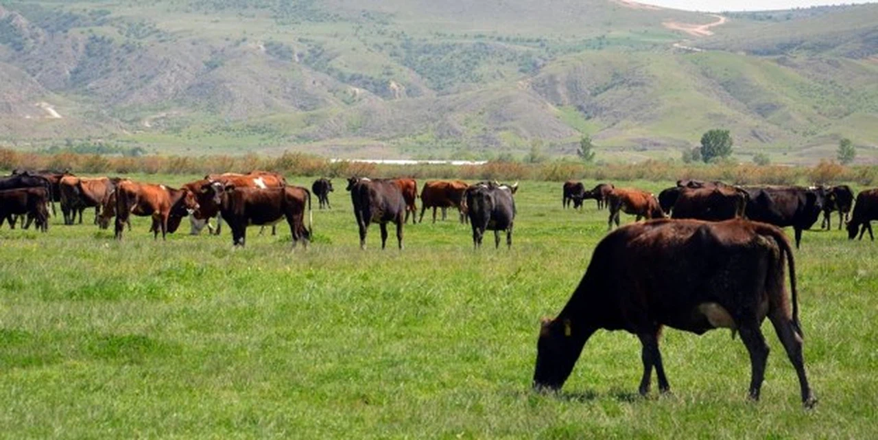 Yayla ve Mera Genelgesi Yayımlandı