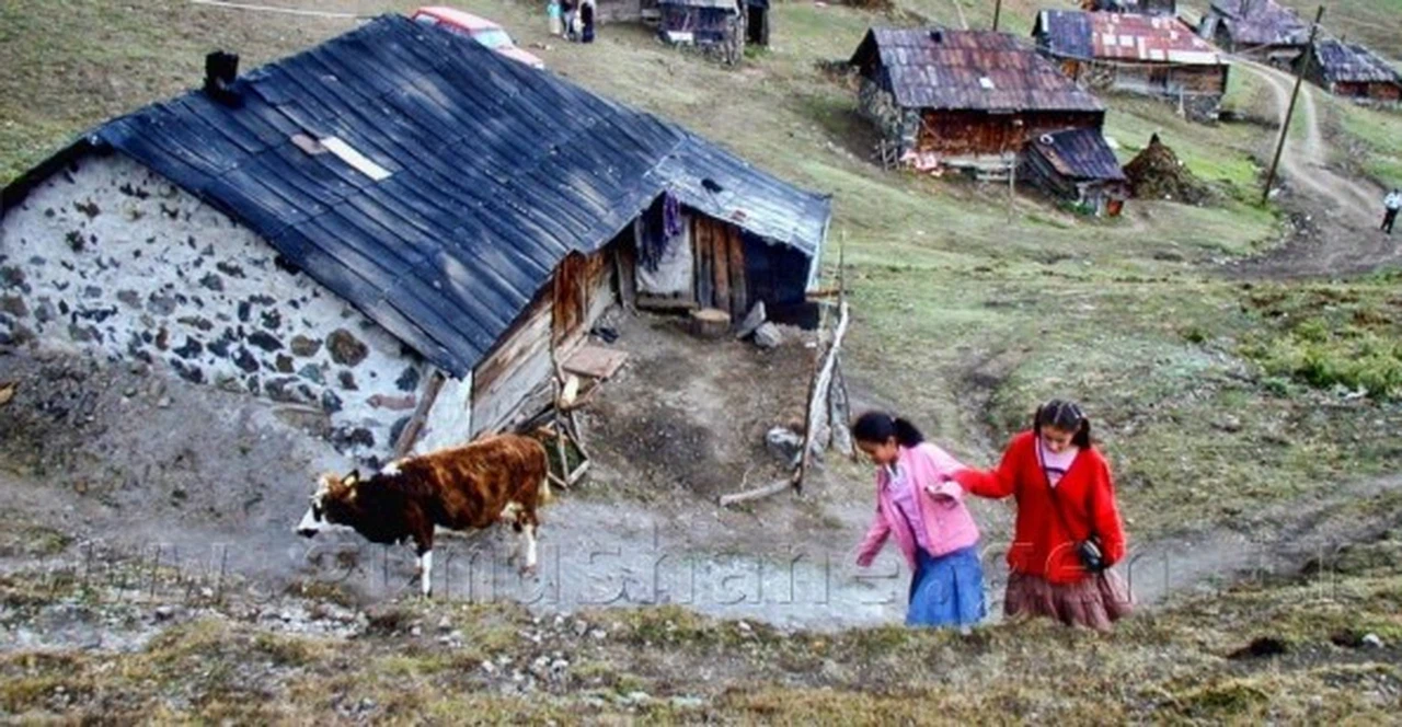 Yaylalardaki Ahşap Mimari Geleneği Devam Ediyor