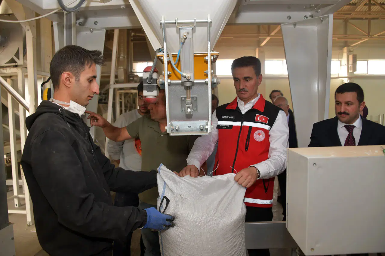 Vali Baruş, Kelkit’te traktörle fasulye hasadı yaptı