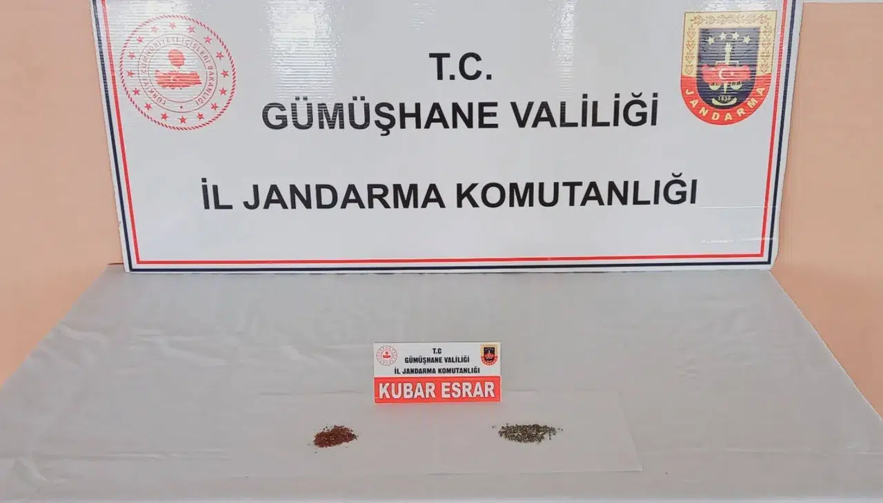 Gümüşhane'de uyuşturucu operasyonu: 10 gram esrar ve kenevir tohumu ele geçirildi