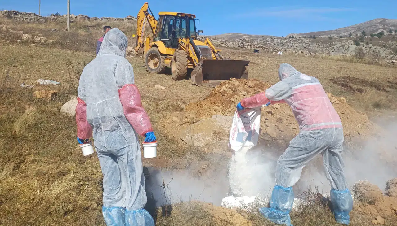 Kürtün’de 6 köye hayvan giriş çıkışı yasaklandı