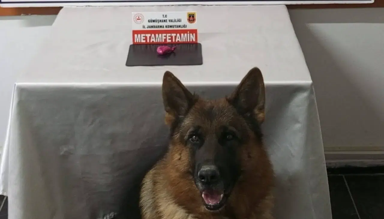 Gümüşhane’de uyuşturucu operasyonunda 2 şahıs yakalandı