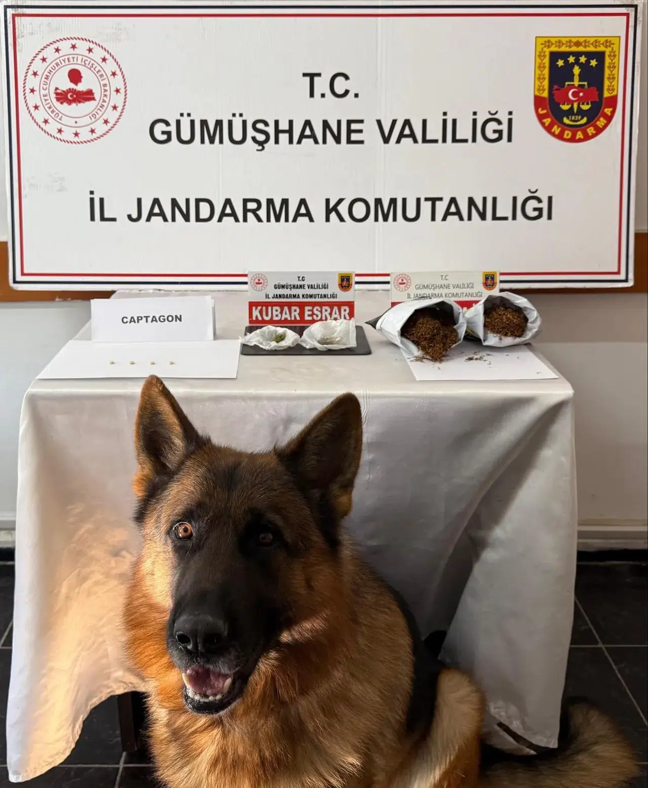 Jandarma affetmedi: Gümüşhane'de zehir tacirlerine suçüstü