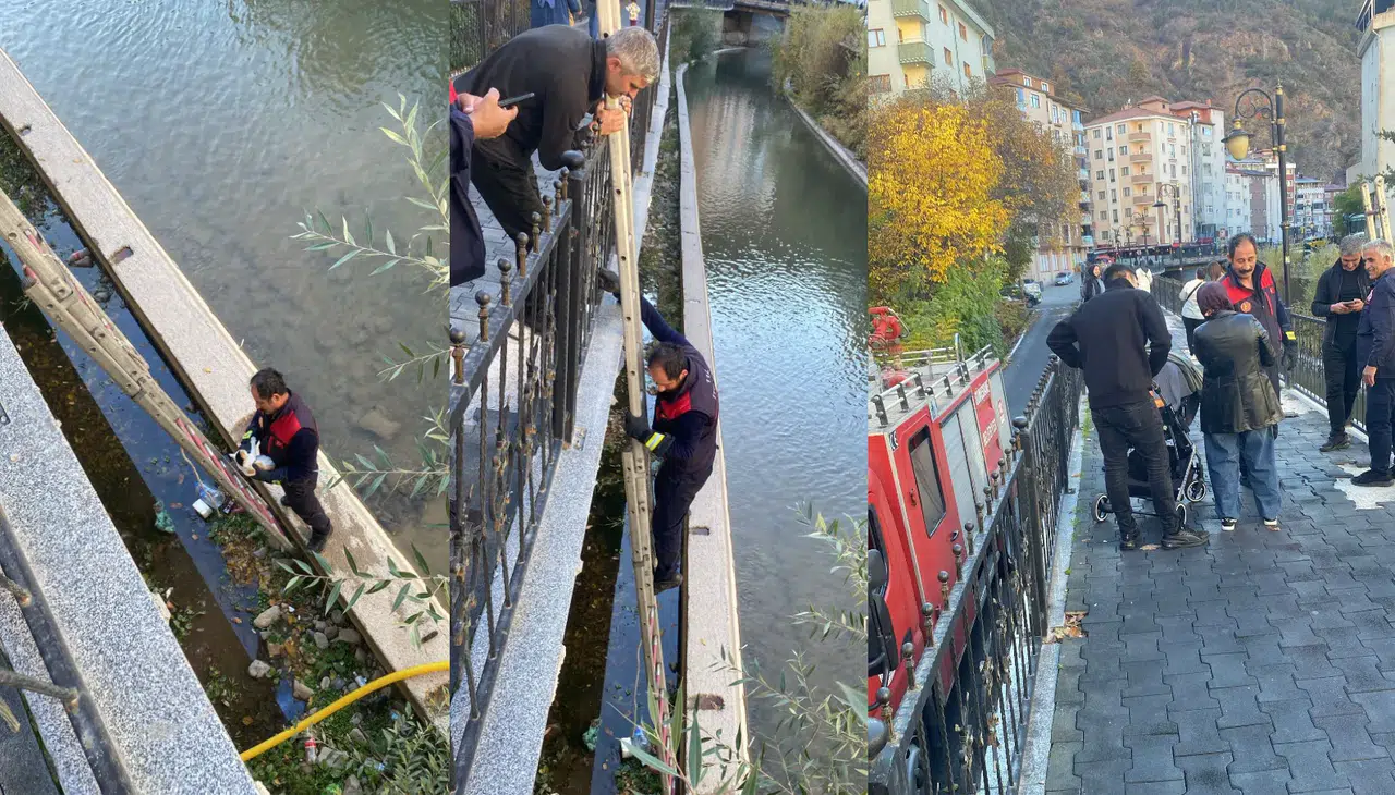 Gümüşhane’de çaya düşen yavru kediyi itfaiye ekipleri kurtardı