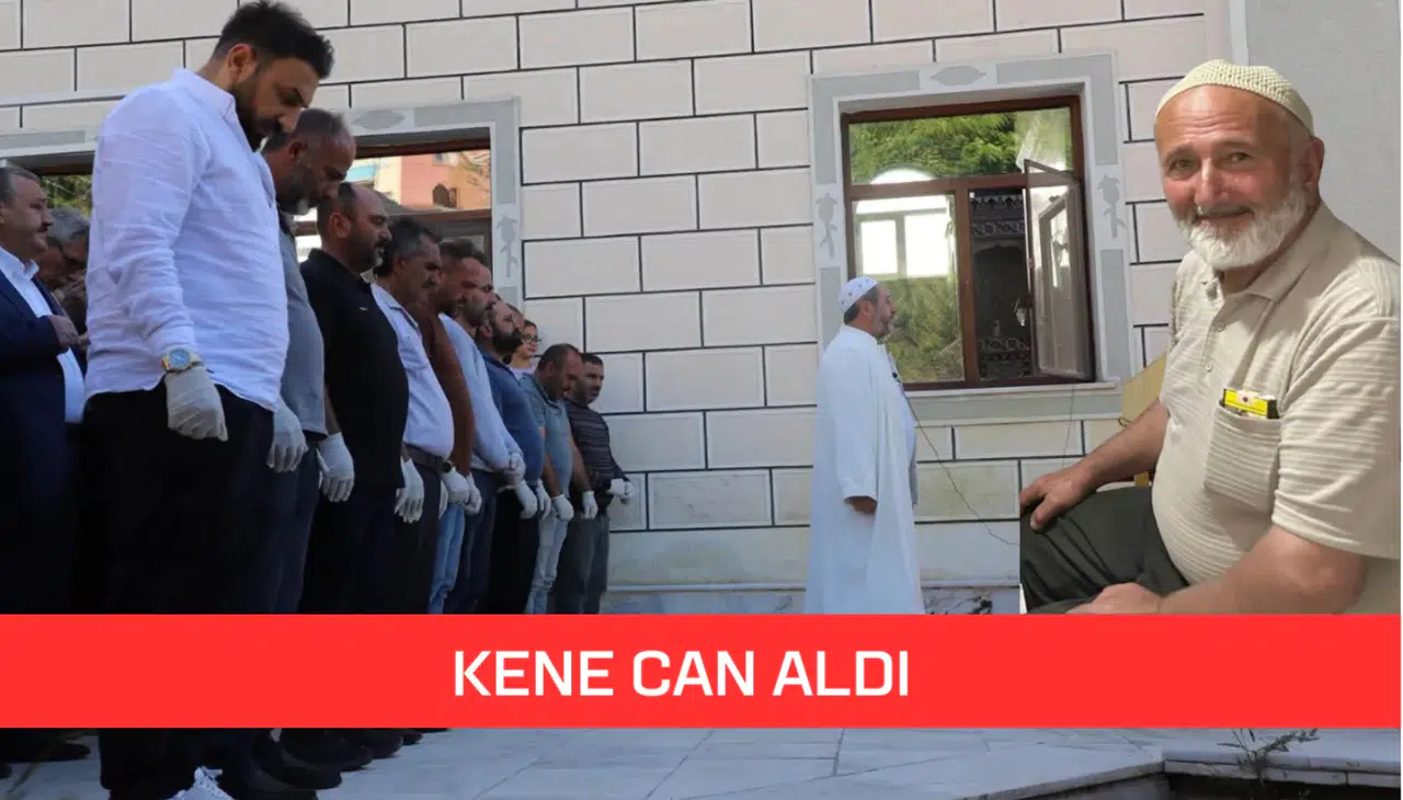 Gümüşhane’de kene can aldı: 68 yaşındaki adam hayatını kaybetti