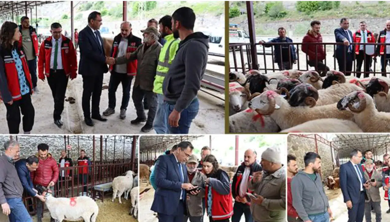 Kıraç'tan hayvan alıcılarına tavsiyeler