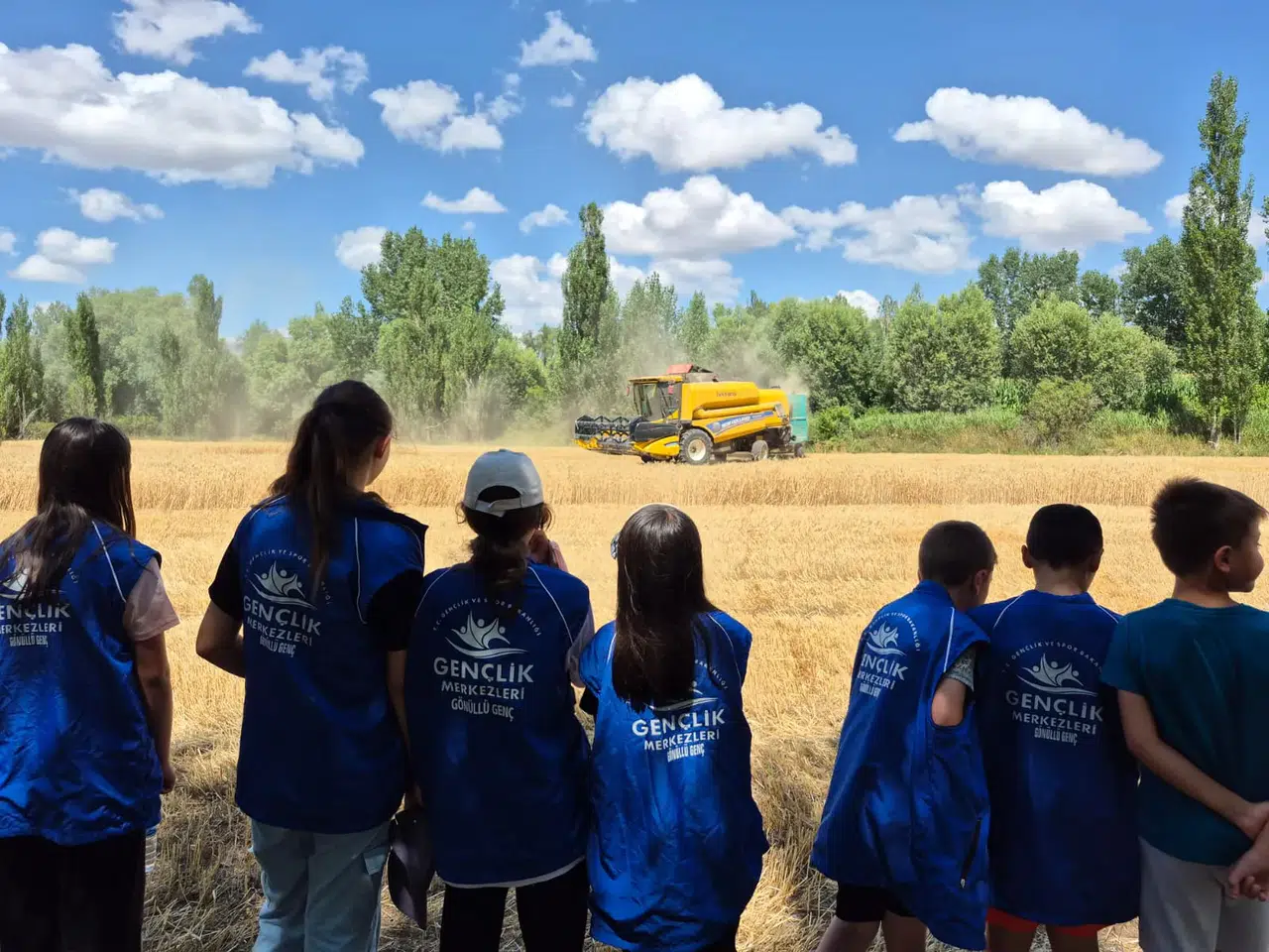 Kelkit Vadisinde gönüllü hasat etkinliği