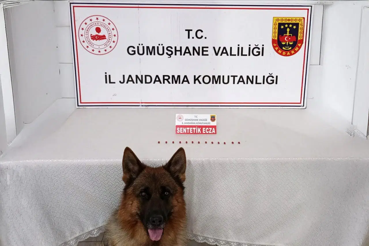 Kelkit’te jandarmadan uyuşturucu operasyonu: 13 sentetik ecza ele geçirildi