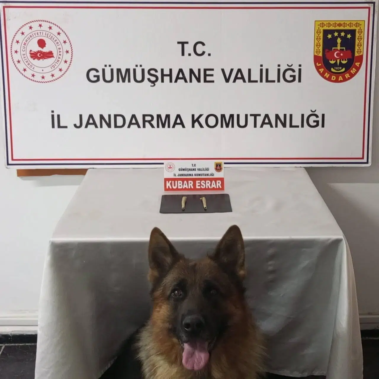 Jandarma’dan uyuşturucu operasyonu