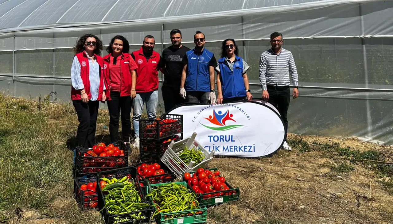Gümüşhane’de seralarda Gönüllü Hasat yapıldı