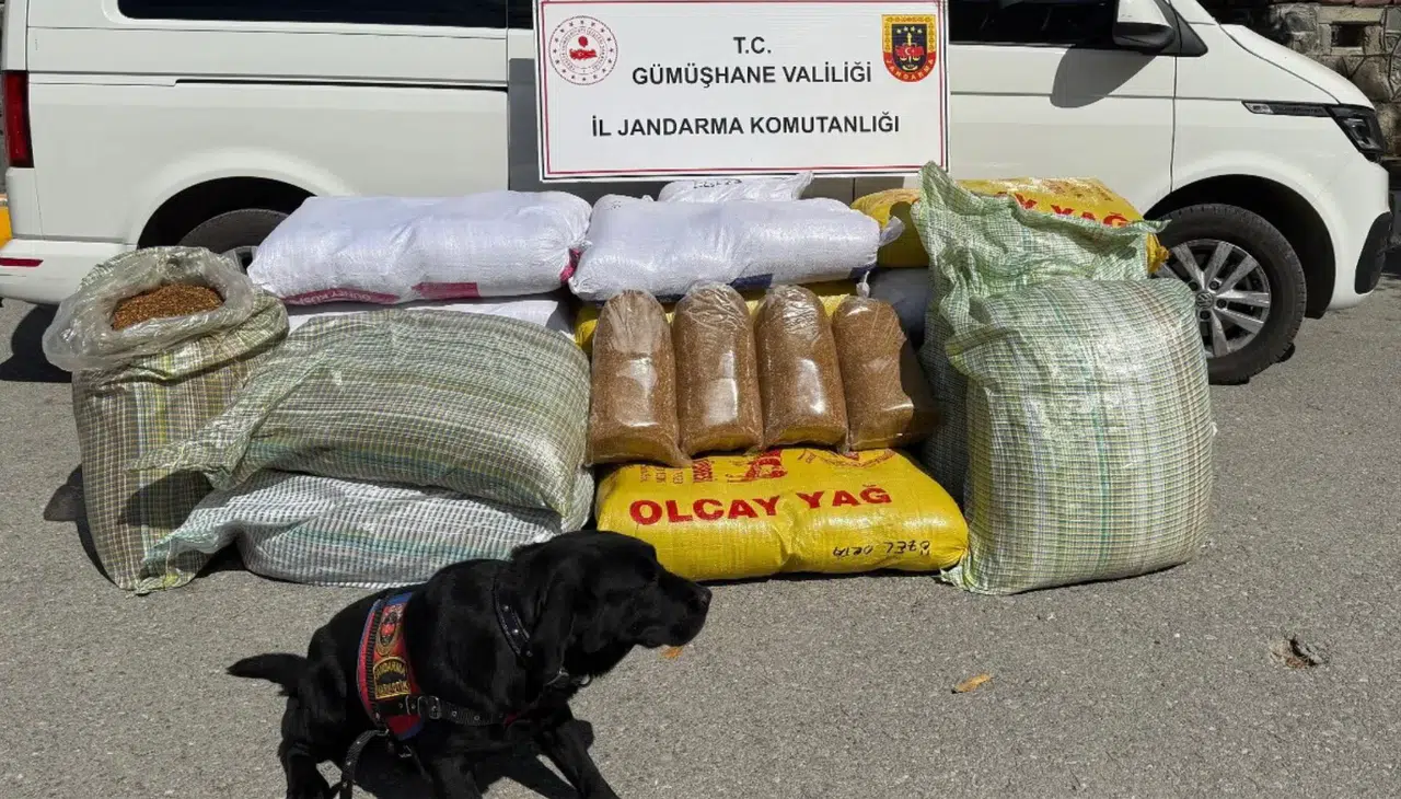Gümüşhane’de Kaçak Tütün Operasyonu: 530 Kilo Tütün Ele Geçirildi