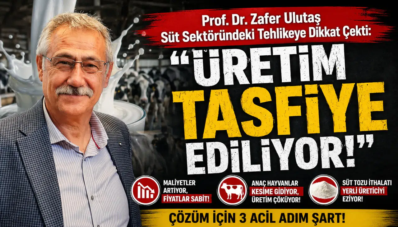 Prof. Dr. Zafer Ulutaş Süt Sektöründeki Tehlikeye Dikkat Çekti: "Üretim Tasfiye Ediliyor"