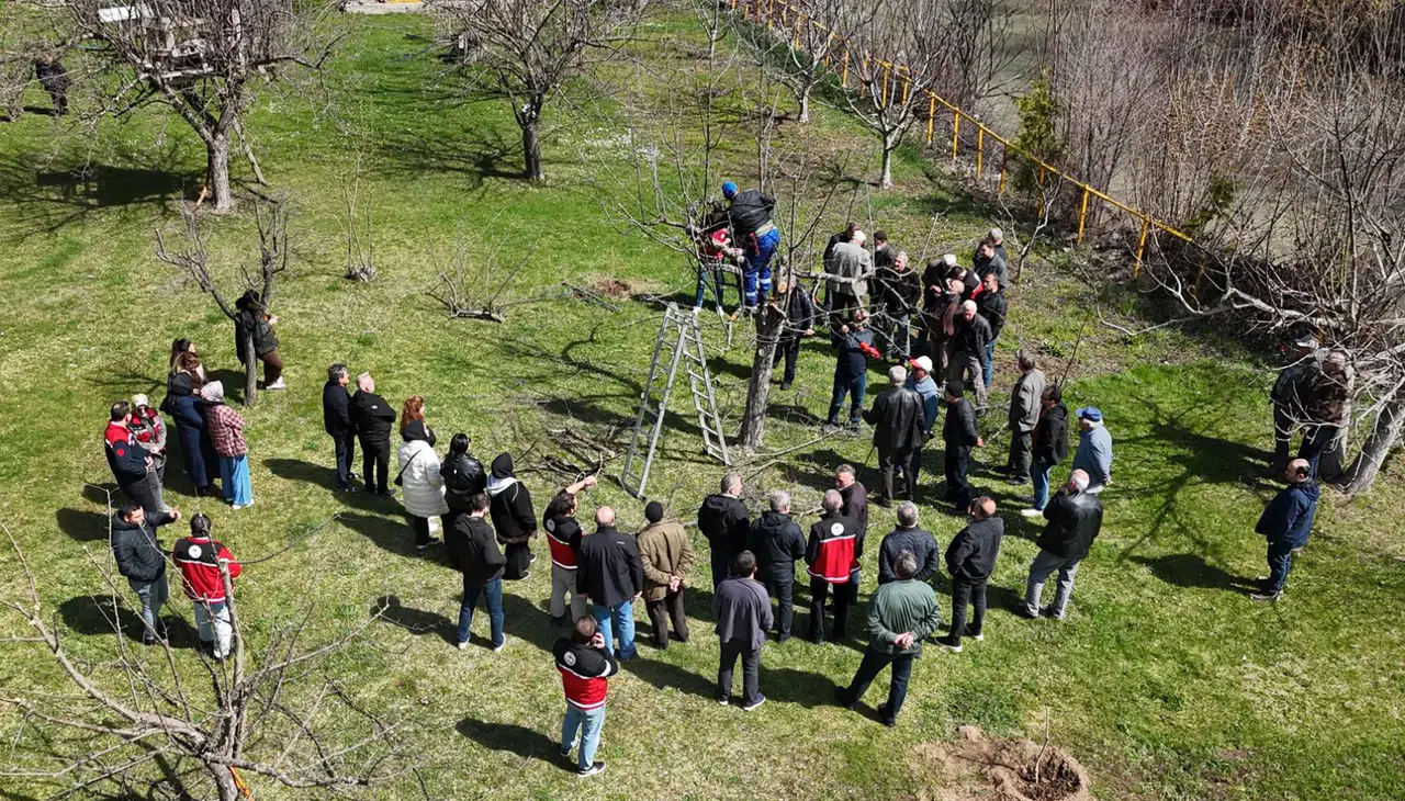 Gümüşhane’de meyve üreticilerine profesyonel budama eğitimi verildi