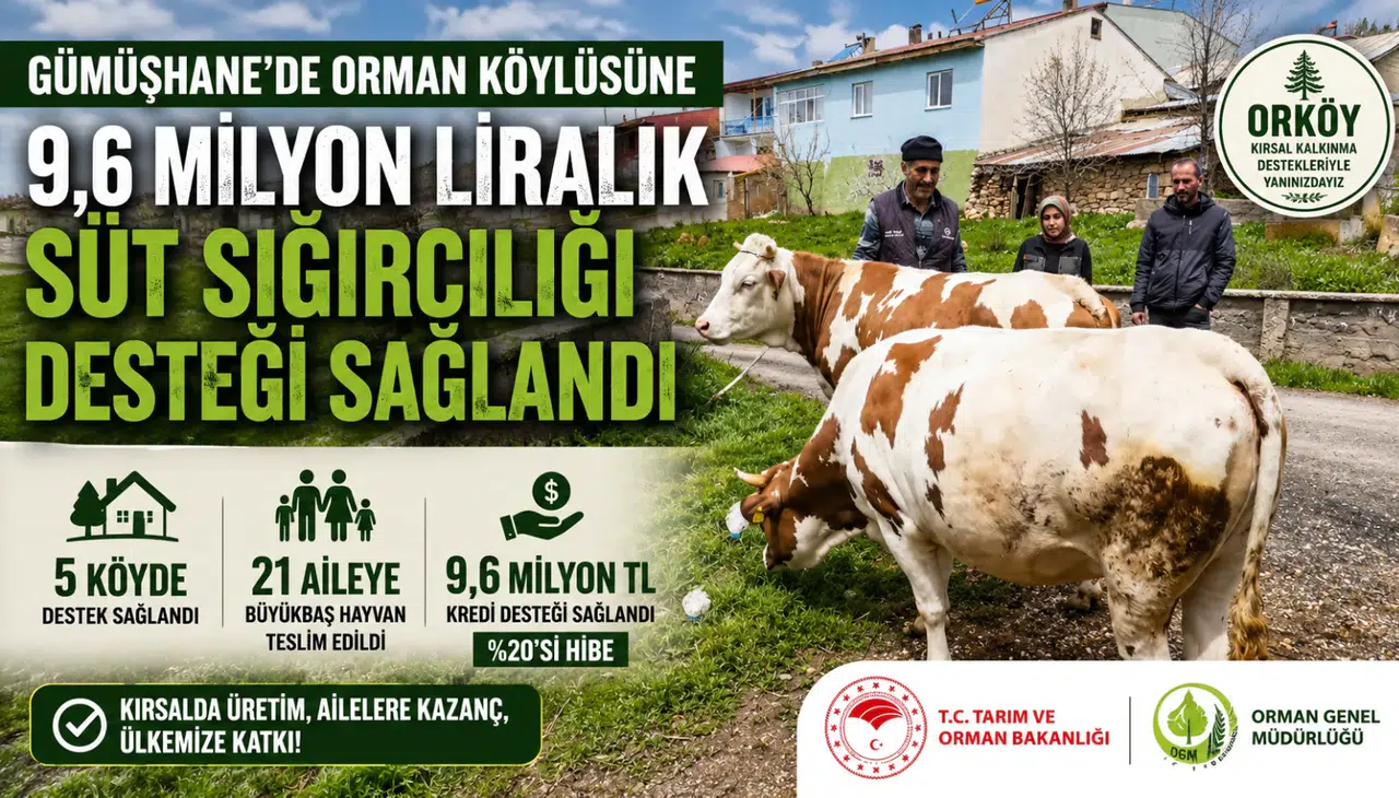 Gümüşhane'de Orman Köylüsüne 9,6 Milyon Liralık Süt Sığırcılığı Desteği Sağlandı