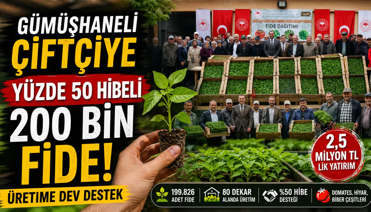 Gümüşhaneli çiftçiye yüzde 50 hibeli 200 bin fide