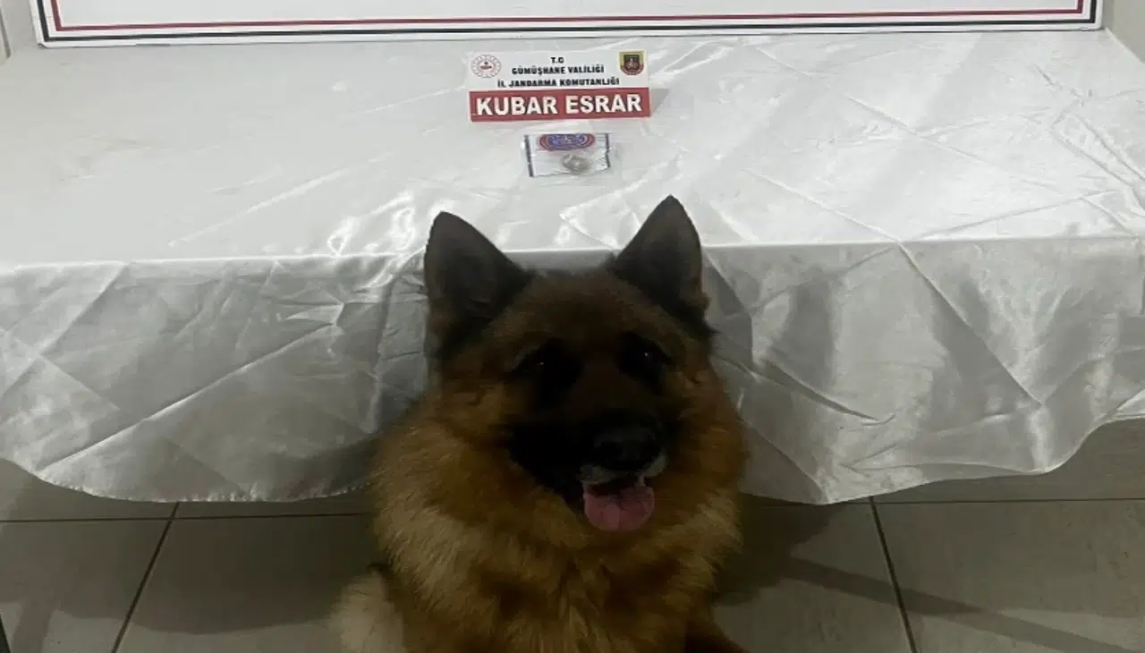 Gümüşhane'de Jandarmadan Uyuşturucu Operasyonu: Torul'da Bir Şüpheli Yakalandı