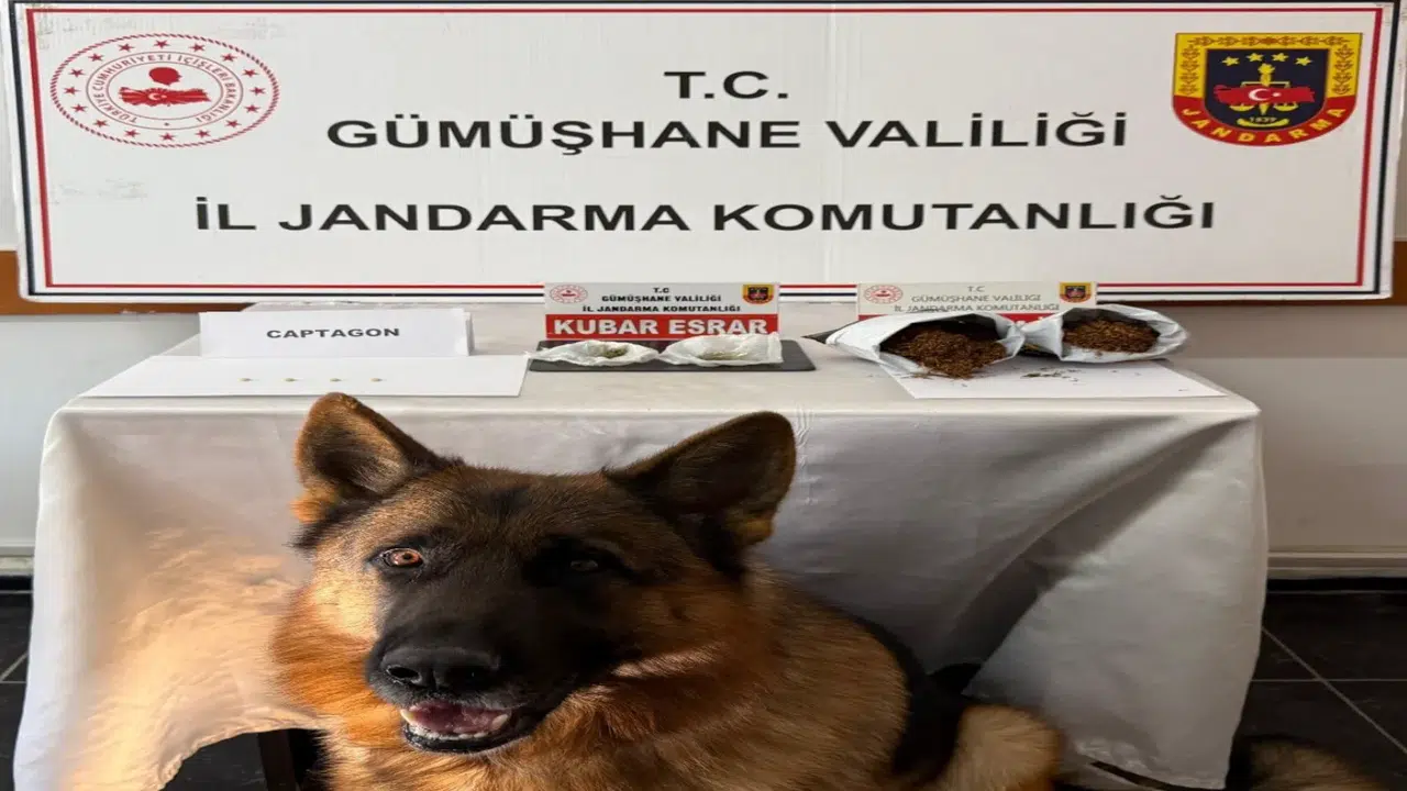 Jandarma affetmedi: Gümüşhane'de zehir tacirlerine suçüstü