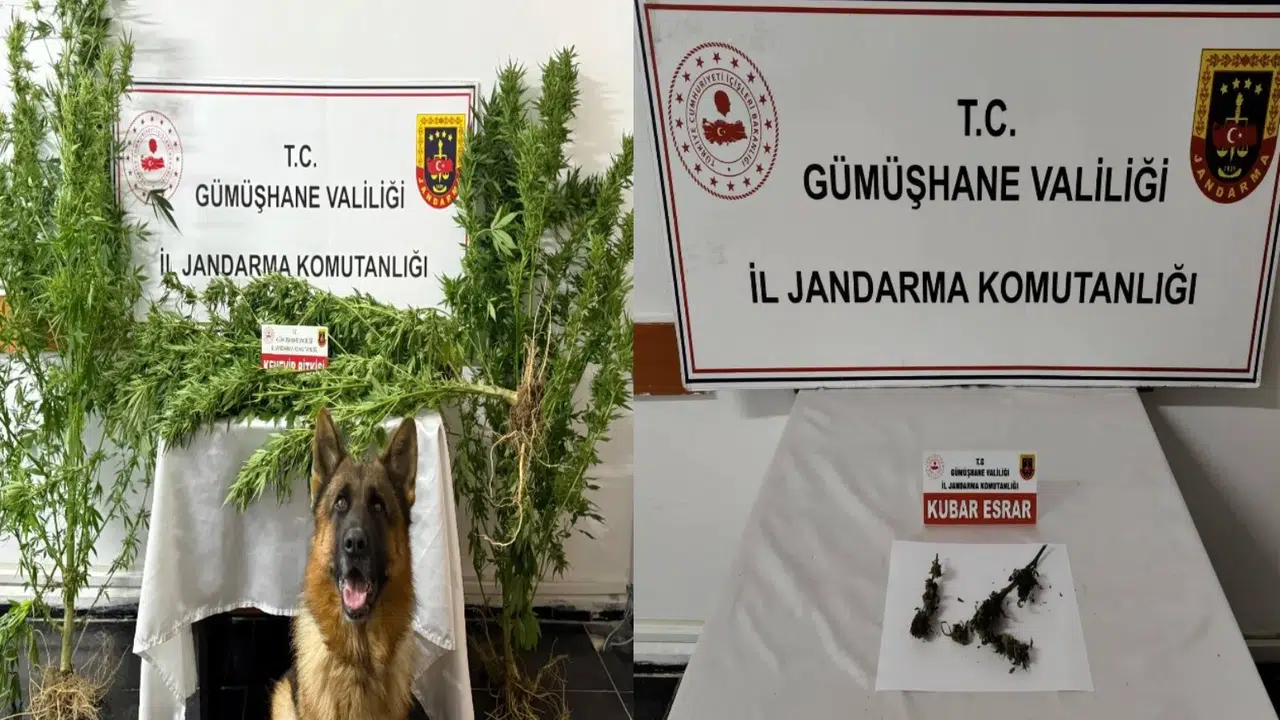 Gümüşhane’de Jandarmadan uyuşturucu operasyonu: 2 gözaltı