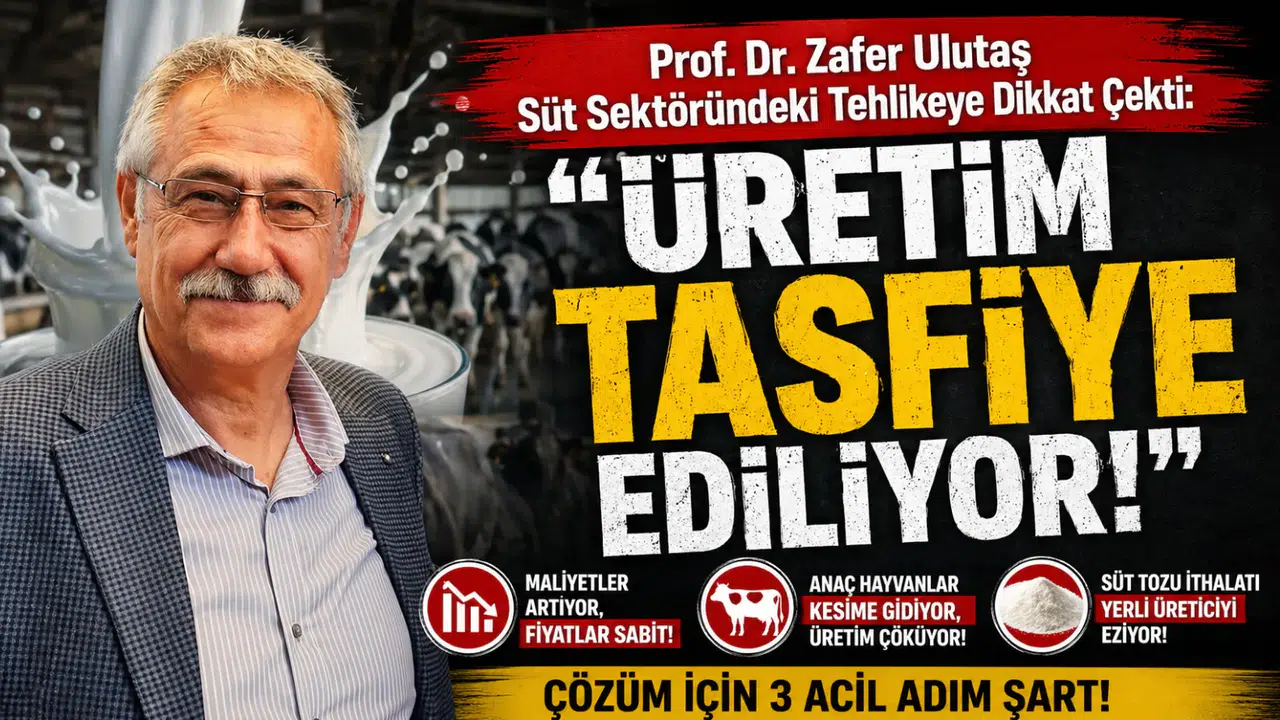 Prof. Dr. Zafer Ulutaş Süt Sektöründeki Tehlikeye Dikkat Çekti:  Üretim Tasfiye Ediliyor