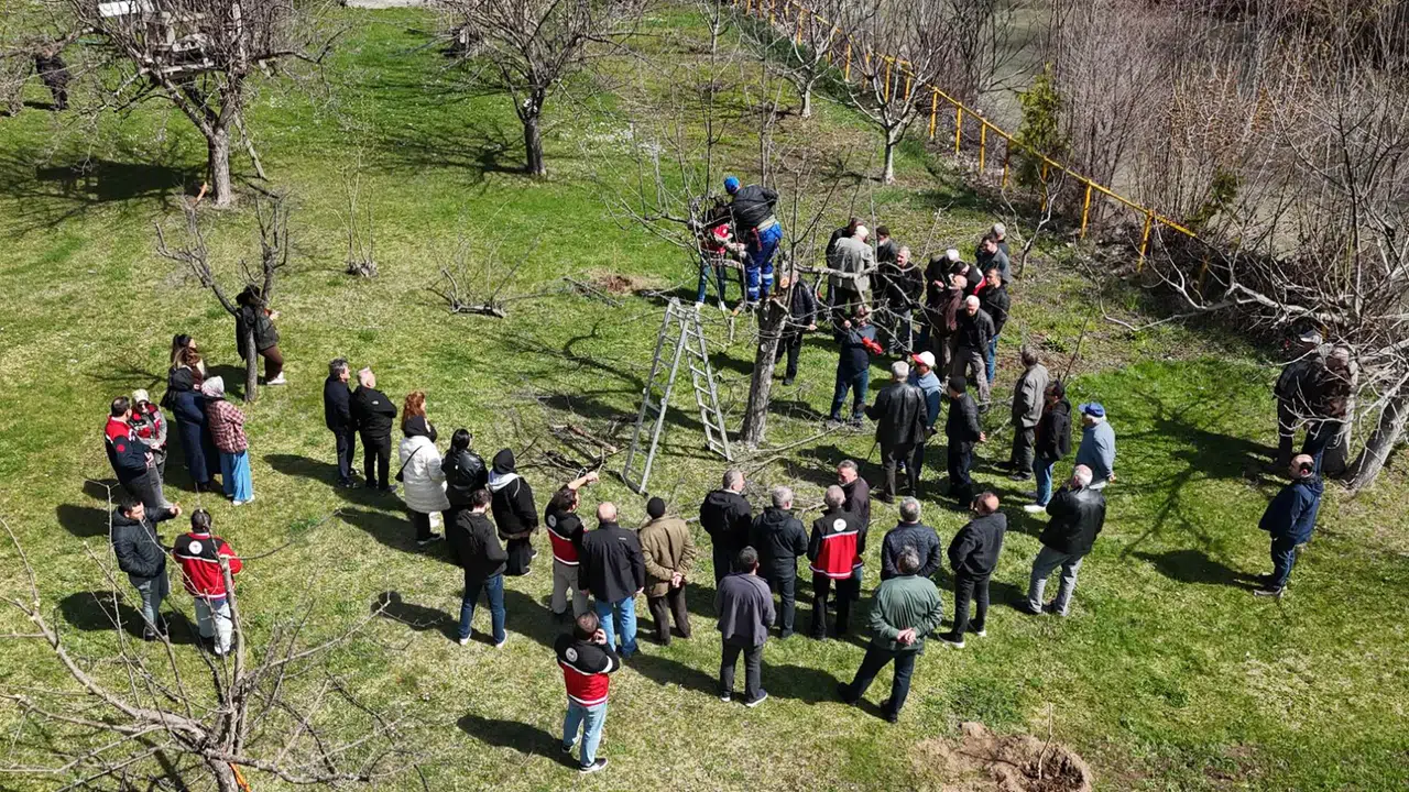 Gümüşhane’de meyve üreticilerine profesyonel budama eğitimi verildi