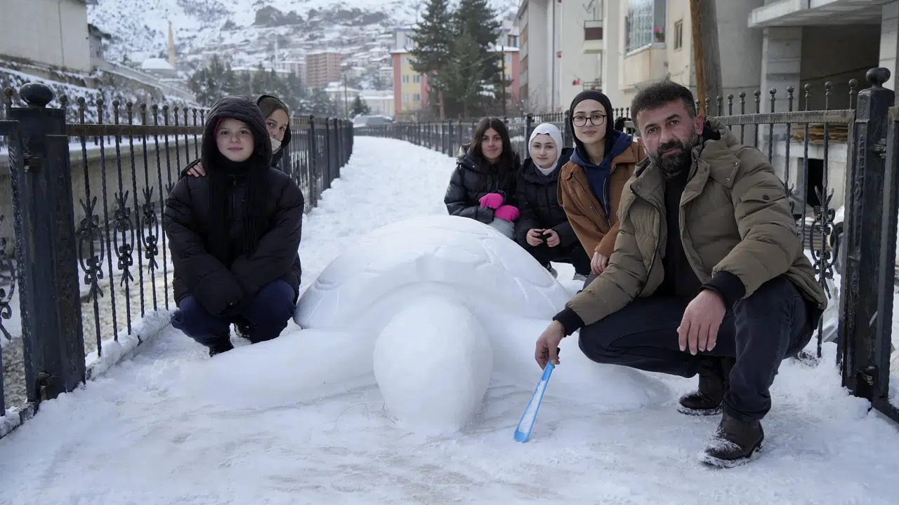Gümüşhane'de  kardan kaplumbağa  ilgi odağı oldu