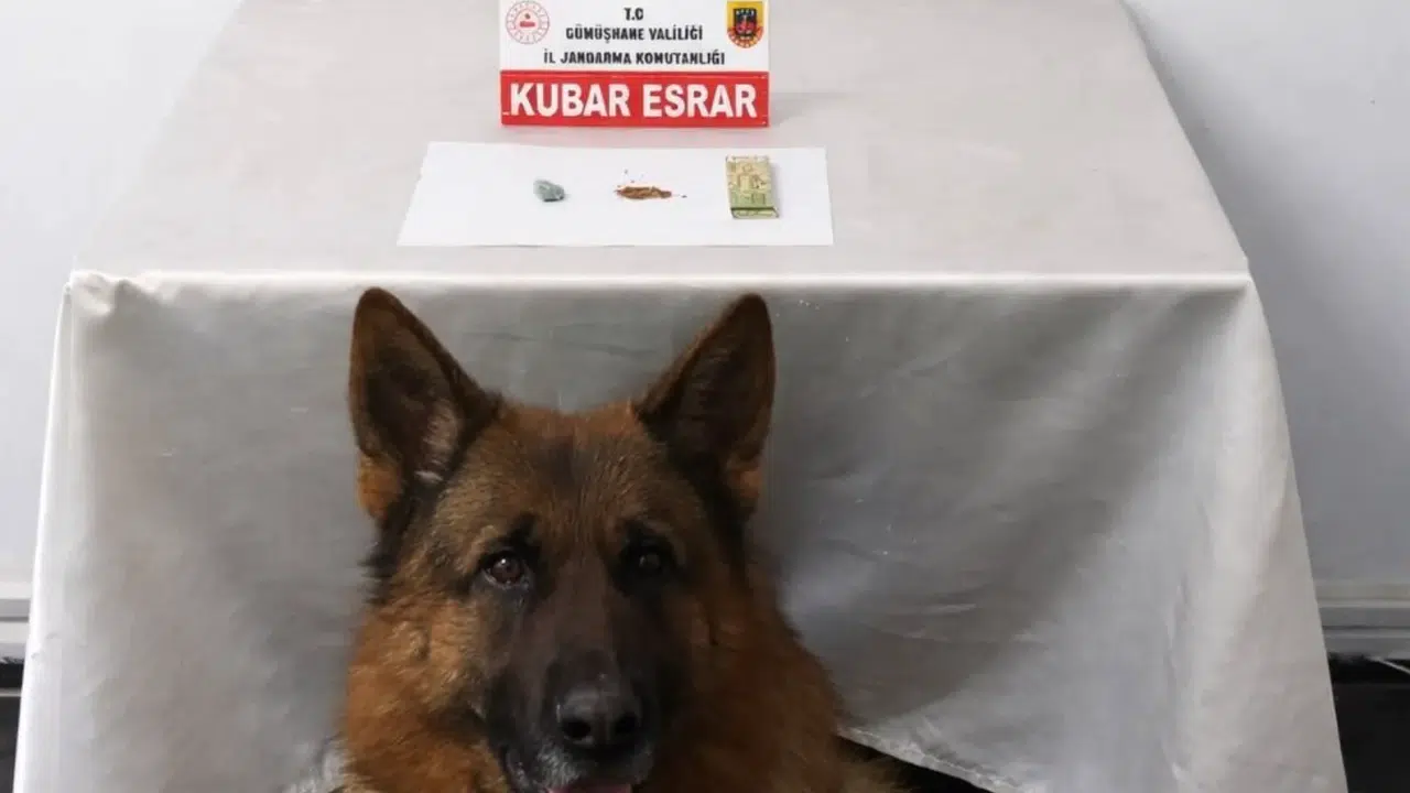 Jandarma ekipleri zehir tacirlerine geçit vermiyor